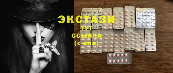 стаф Богородск