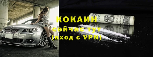 стаф Богородск