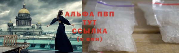 стаф Богородск