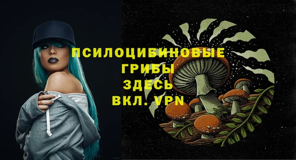 стаф Богородск