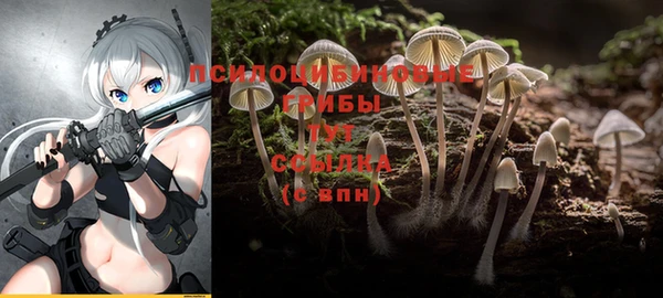 ешки Богородицк