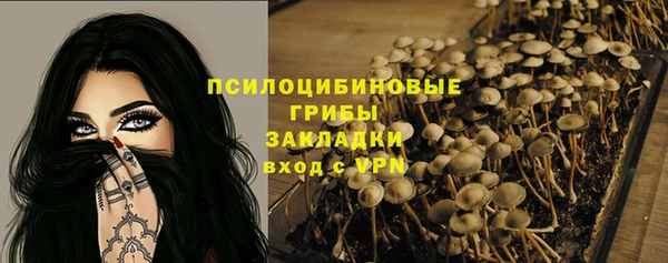 mix Бородино