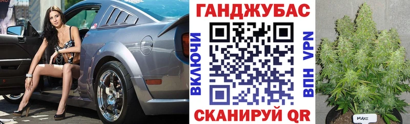 Каннабис план  Шали 